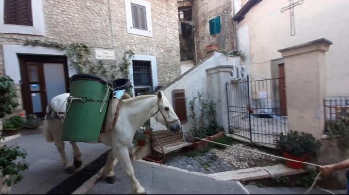 Casetta Nel Borgo Olevano Romano Exterior photo